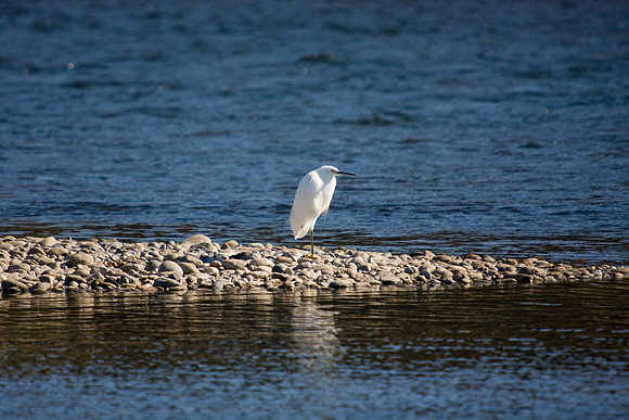 081011_POTN_CA_6_135
