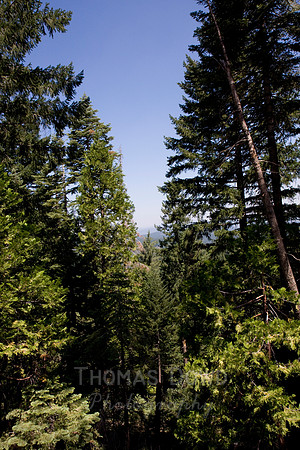 080704_4thofJuly_018