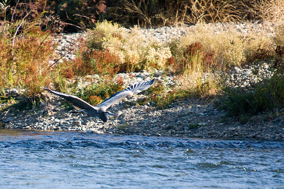 081011_POTN_CA_6_091