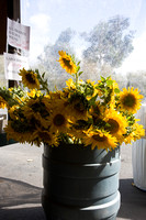 081004_Cline_005