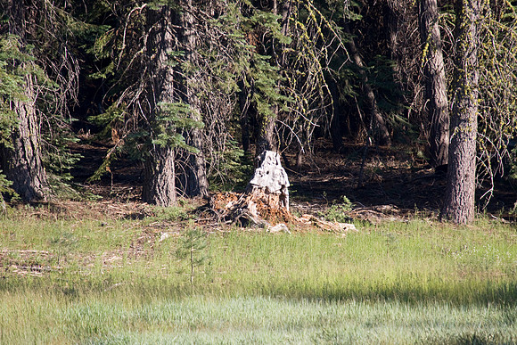 080704_4thofJuly_364