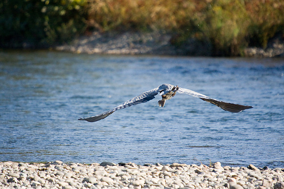 081011_POTN_CA_6_122