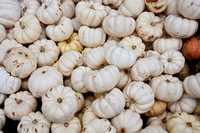 101017_PumpkinPatch_0054