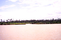 VietNam007