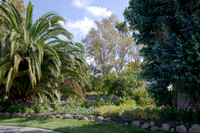 081004_Cline_007