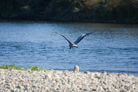081011_POTN_CA_6_129