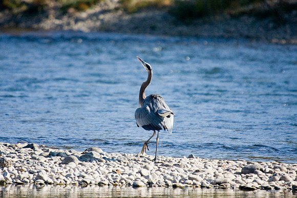 081011_POTN_CA_6_110