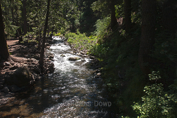 100704_4thofJuly_0026-Edit