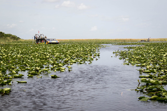 Everglades Holiday Park