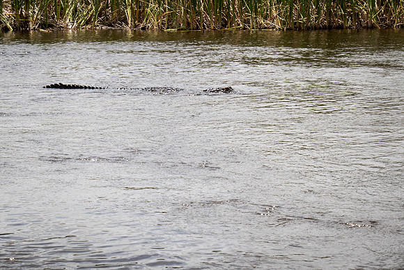 Everglades Holiday Park