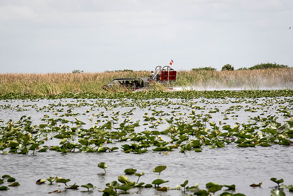 Everglades Holiday Park