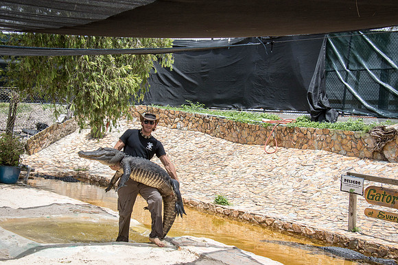 Everglades Holiday Park