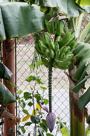 150616_St.Thomas_408