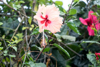 150616_St.Thomas_409