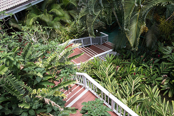 150616_St.Thomas_419