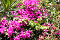150616_St.Thomas_421