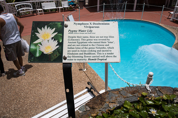 150616_St.Thomas_455