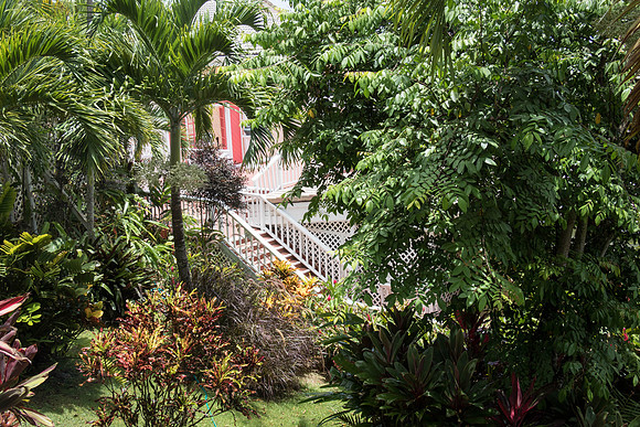 150616_St.Thomas_464