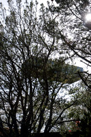 100416_NVC_0157