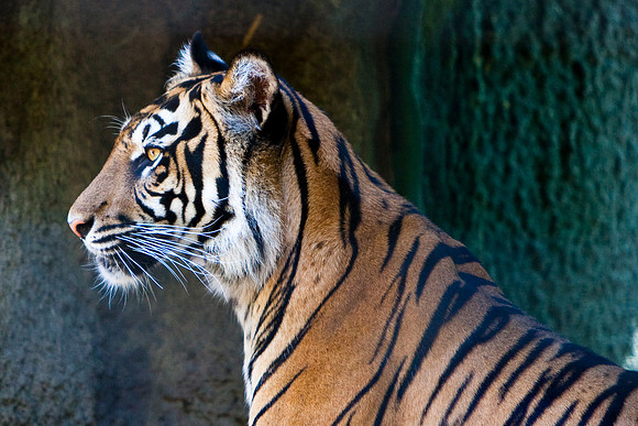 090703_Sacto_Zoo_198