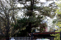 100416_NVC_0164