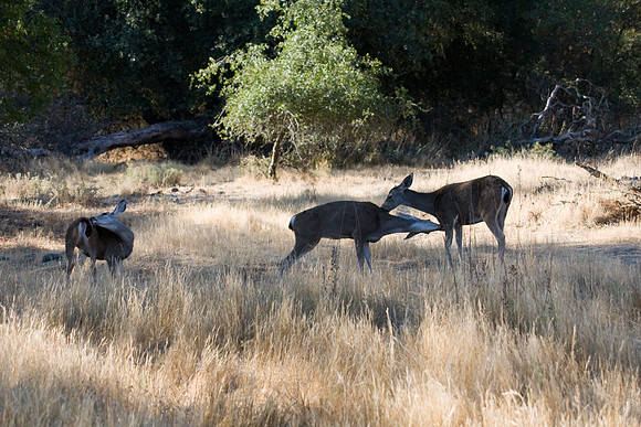 081011_POTN_CA_6_045