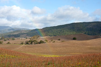120121_Pescadero_0186