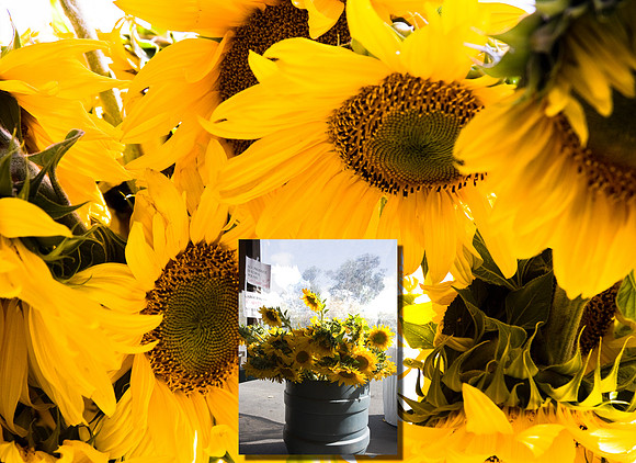 081004_Cline_006-Edit