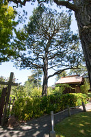 090425_POTN_144