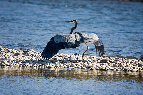 081011_POTN_CA_6_104