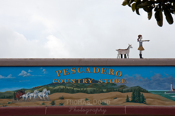120121_Pescadero_0275E