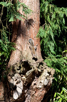 090425_POTN_017