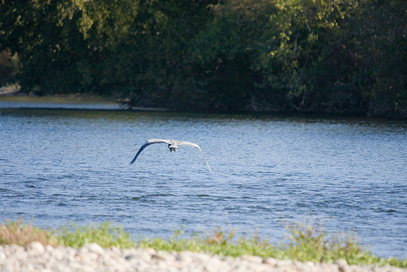 081011_POTN_CA_6_133