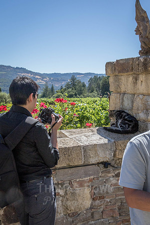 160624_B and K Day_273