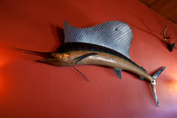 120121_Pescadero_0263