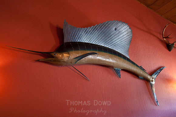 120121_Pescadero_0263