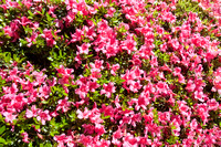 090425_POTN_134