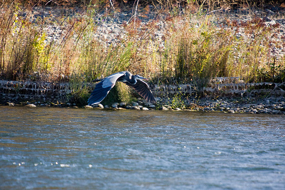 081011_POTN_CA_6_098