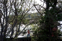 100416_NVC_0160