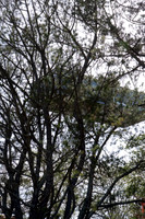 100416_NVC_0156