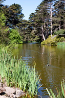 090425_POTN_024