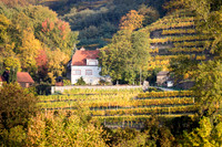 171017_Melk_733