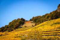 171017_Melk_738