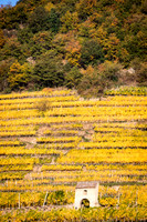 171017_Melk_740