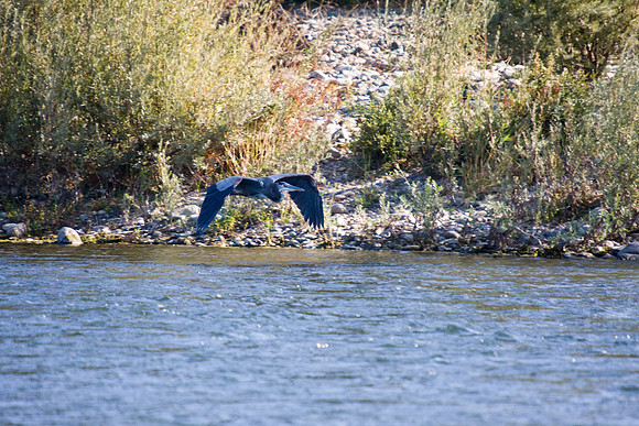 081011_POTN_CA_6_095