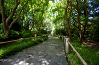 090425_POTN_171