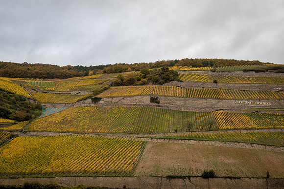 171024_Marksburg_Castle_1394