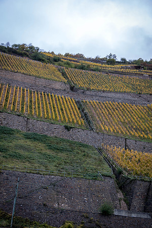 171024_Marksburg_Castle_1399