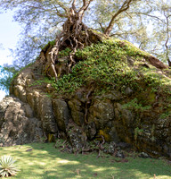 180417_South Pacific_1285-Pano
