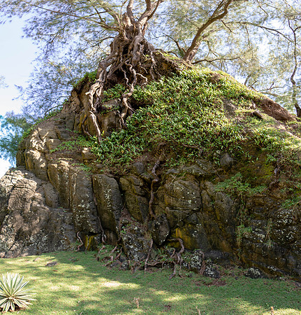 180417_South Pacific_1285-Pano